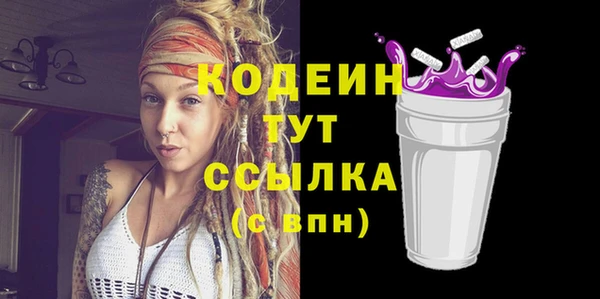 спайс Каменка