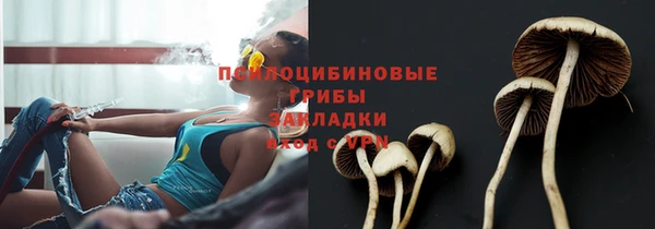 мяу мяу кристалл Каменногорск